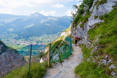 Similar image 21169763