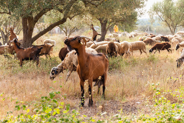 Similar image 21169780