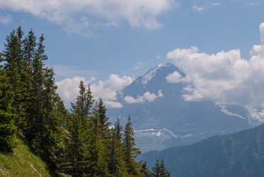 Similar image 21169782