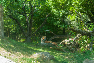 Similar image 21169569