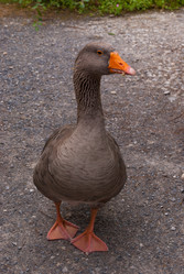 Similar image 21169571