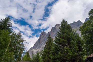 Similar image 21169784