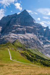 Similar image 21169785