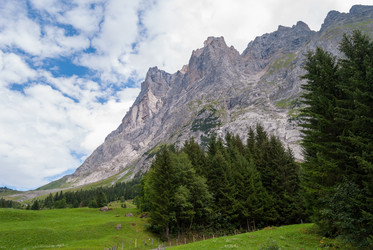 Similar image 21169791