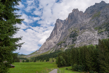 Similar image 21169793