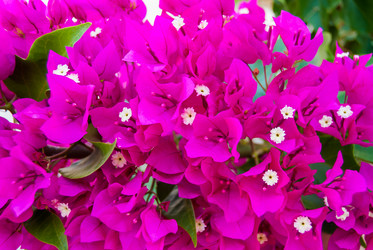 Similar image 21169807