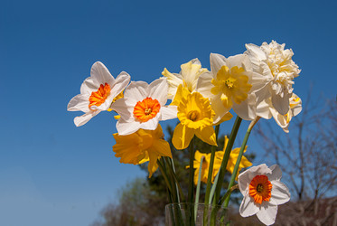 Similar image 21166500