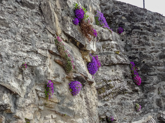 Similar image 21166584