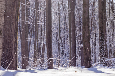 Similar image 21166855