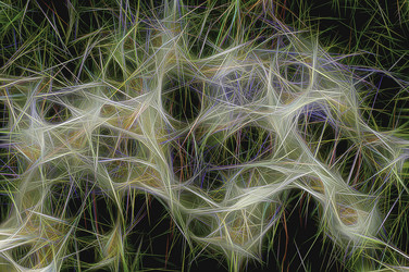 Similar image 21166857