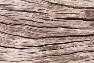 Similar image 21166387