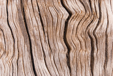 Similar image 21166389