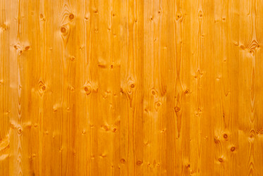 Similar image 21166504