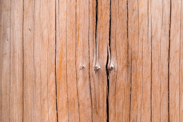 Similar image 21166506