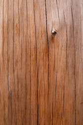 Similar image 21166546