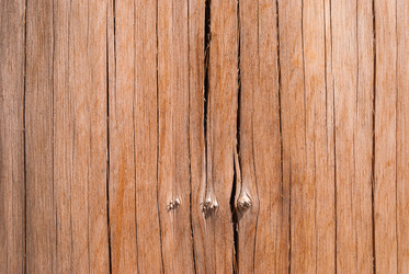 Similar image 21166547