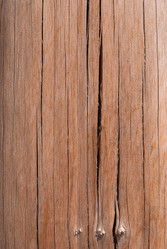 Similar image 21166549