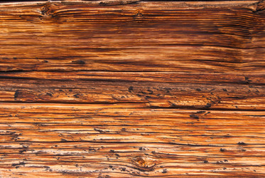 Similar image 21166591