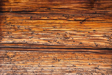 Similar image 21166629