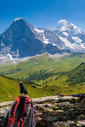 Similar image 21166865