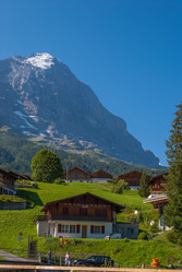 Similar image 21166869