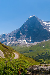 Similar image 21166873