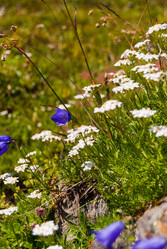 Similar image 21166878