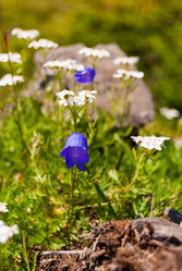 Similar image 21166880