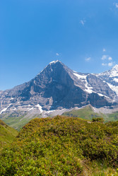 Similar image 21166882