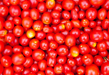 Similar image 21166885