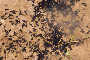 Similar image 21169403