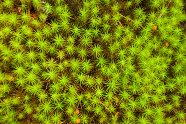 Similar image 21169405