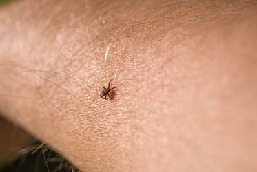 Similar image 21169407