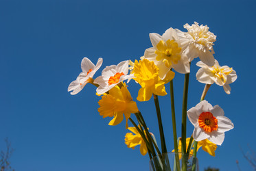 Similar image 21169578