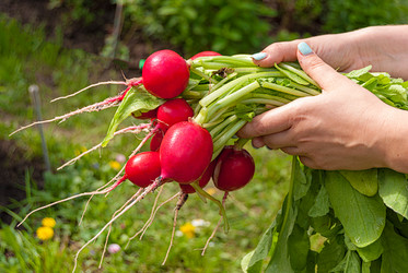 Similar image 21169580