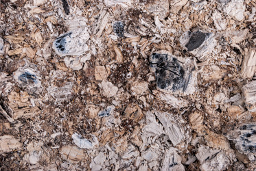 Similar image 21169581