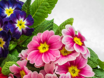 Similar image 21169588