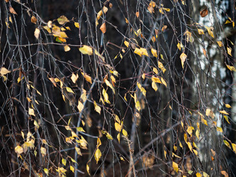 Similar image 21166392