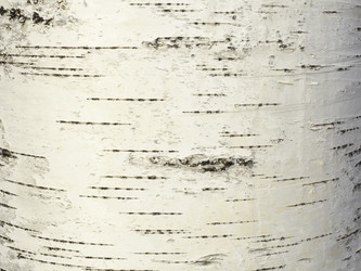 Similar image 21166393