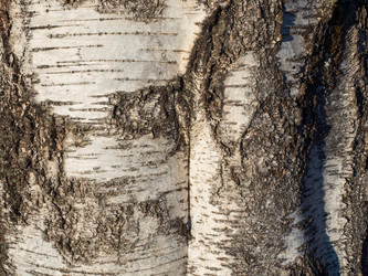 Similar image 21166508