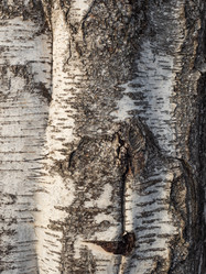 Similar image 21166510