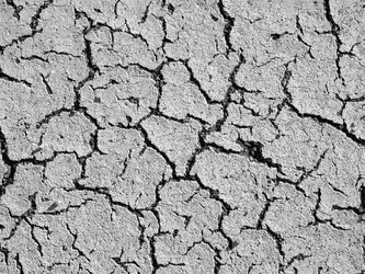 Similar image 21166551