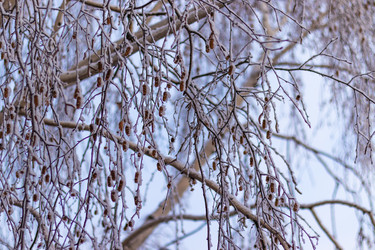 Similar image 21166633