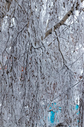 Similar image 21166634