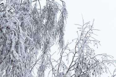 Similar image 21166886