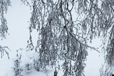 Similar image 21166887