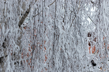 Similar image 21166888