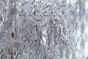 Similar image 21166889