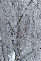 Similar image 21166890