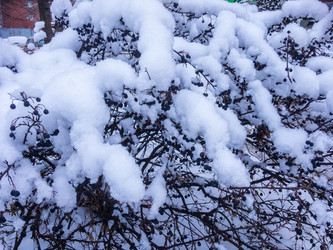 Similar image 21166891